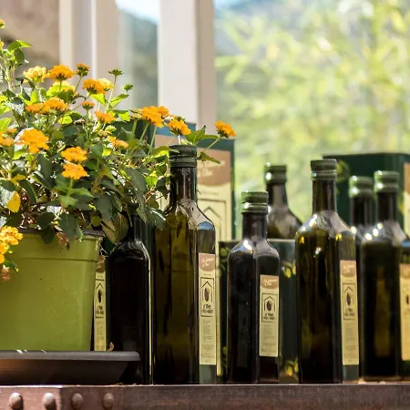 Terre Degli Angeli Alloggio per agriturismo
