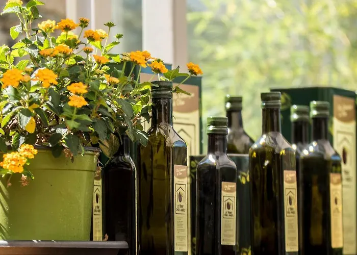 Terre Degli Angeli Alloggio per agriturismo