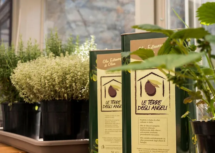 Terre Degli Angeli Lantgård